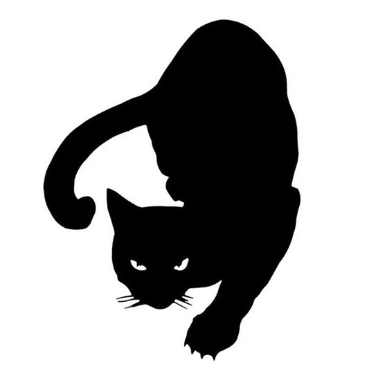 12*16CM PET CAT Car Stickers Decals Motorcycle Accessories Car Styling Black/Silver C2-0247